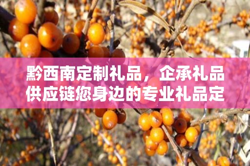 黔西南定制礼品，企承礼品供应链您身边的专业礼品定制公司
