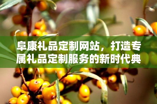 阜康礼品定制网站，打造专属礼品定制服务的新时代典范