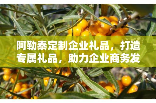 阿勒泰定制企业礼品，打造专属礼品，助力企业商务发展